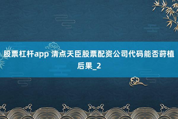 股票杠杆app 清点天臣股票配资公司代码能否莳植后果_2
